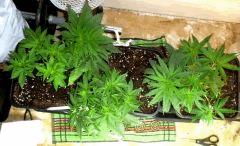 P1020940