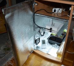 DSC 0006