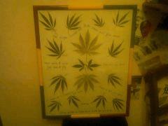 Tableau