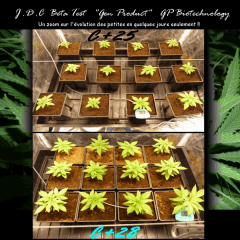 Jdc Beta Test 29