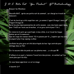 Jdc Beta Test 196