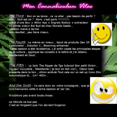 (3)mon Cv2