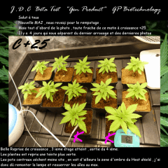 Jdc Beta Test 19