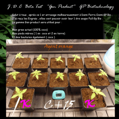 Jdc Beta Test 12