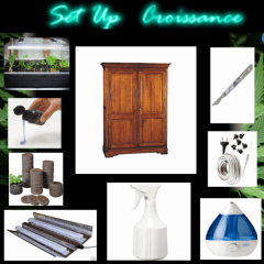 (12) Set Up Croiss