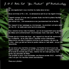 Jdc Beta Test 195