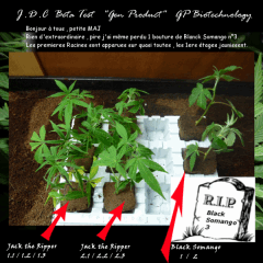 Jdc Beta Test 26