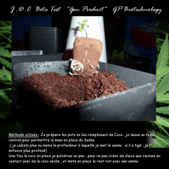 Jdc Beta Test 10