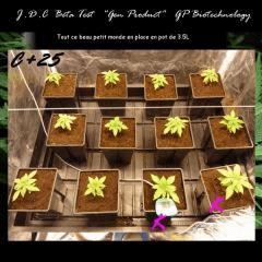 Jdc Beta Test 25