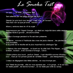 (30) SmokeTest