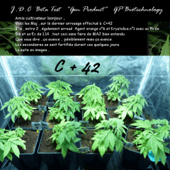 Jdc Beta Test 46