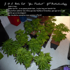 Jdc Beta Test 72