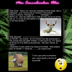 (2)mon Cv1