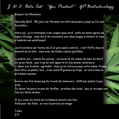 Jdc Beta Test 197