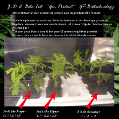 Jdc Beta Test 14