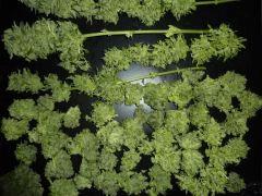P1090983