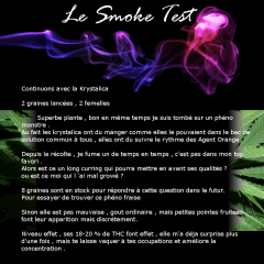 (31) SmokeTest