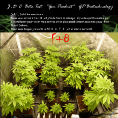 Jdc Beta Test 67