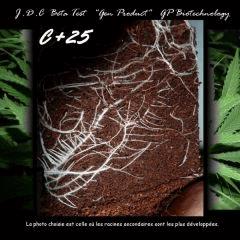 Jdc Beta Test 22