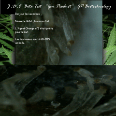 Jdc Beta Test 194