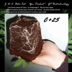 Jdc Beta Test 21