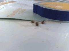 10092012679