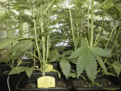 P1230016