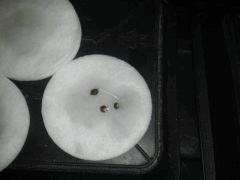 2012 09 20 16.42.14