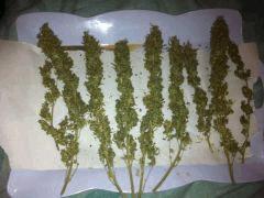 herma.com