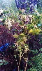IMAG0566