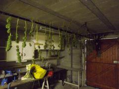 DSCF0038