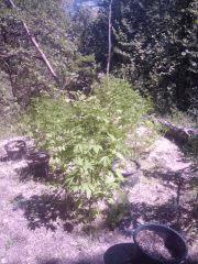2012 07 23 15.32.08