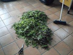 DSCF0309