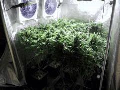 All F 45 (2)
