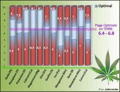 phterrefr1
