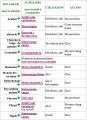 tableau insecte versus predateur