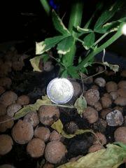 20121031 175710