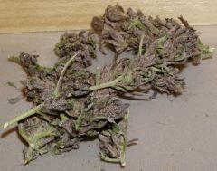 dry rosy