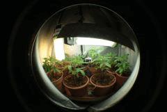 fisheye  Vue generale