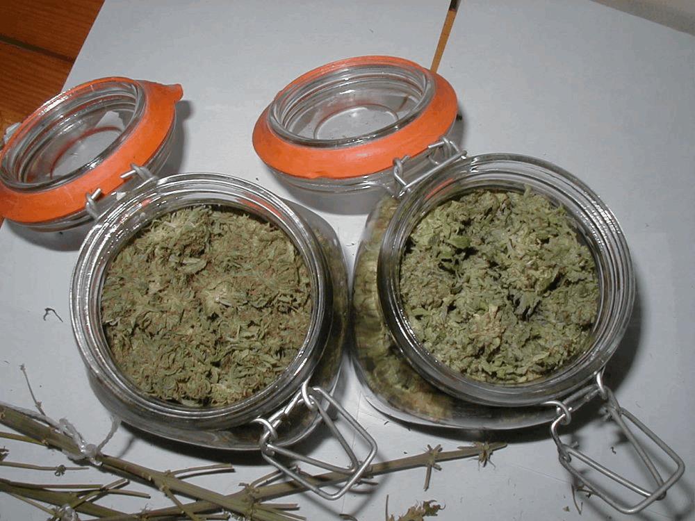 Blackstar 180 (85W)