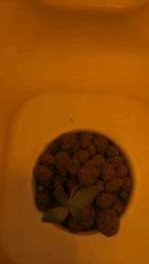 IMAG0551