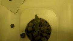 IMAG0554