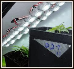 1 DSC02475