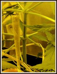 un joint s'est perdu
