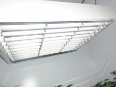 03 DSC02557