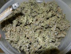 3 casey jones peri