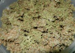 4 amnesia