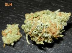 5 lemon haze