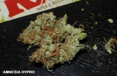 0 amne hypro