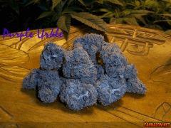 Madd Purple Urkle